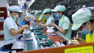 Tiếp tục hỗ trợ 145 tỷ đồng cho lao động bị mất việc, giãn việc