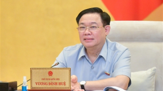 Sửa luật như thế nào để khắc phục những việc như bỏ cọc đấu giá đất Thủ Thiêm?