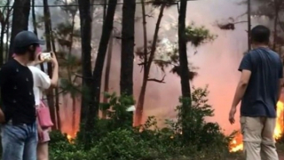 Tạm giữ nam thanh niên nghi đốt cháy rừng thông ở Huế