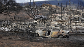 Cháy rừng Hawaii gây thương vong lớn nhất tại Mỹ trong hơn một thế kỷ