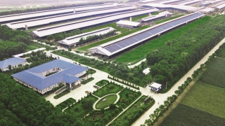 Để có các mô hình “Trang trại sinh thái”, “Trung hòa carbon”, Vinamilk đã làm gì?