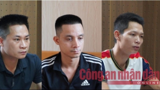 Nhóm đối tượng tổ chức đánh bạc trên web "bong88" quy mô hơn 300 tỷ đồng