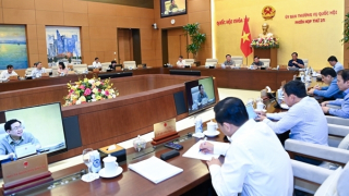 Việc sắp xếp các đơn vị sự nghiệp công lập nhiều lúc còn cơ học, khó hoạt động hơn