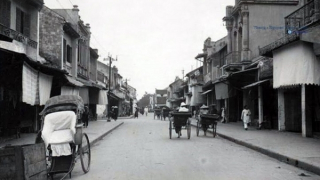 Cây bàng lá đỏ chợ xưa