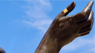 Trị liệu chính xác với thiết bị điện tử sinh học hữu cơ