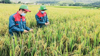 Chuyển đổi sản xuất xanh để bắt kịp xu hướng thế giới