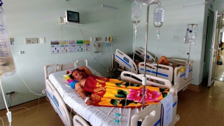 Ba ngư dân thương vong nghi do ngộ độc cá nóc