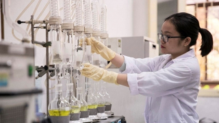 Cần chính sách đồng bộ trong thu hút, trọng dụng nhân tài