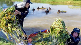 Tinh gọn tổ chức bộ máy , xây dựng lực lượng thật sự trong sạch, vững mạnh (Bài cuối)
