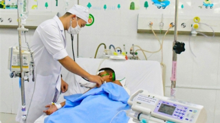 Cứu sống bé trai 8 tuổi bị ong vò vẽ đốt hơn 60 vết