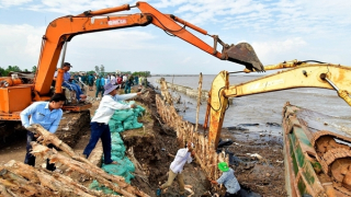 Cà Mau công bố tình huống khẩn cấp sạt lở bờ biển