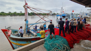 Nhiều kết quả tích cực trong chống khai thác IUU tại tỉnh cực Nam Tổ Quốc