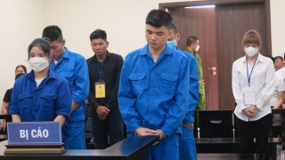 Kiếm tiền bất hợp pháp từ mang thai hộ, anh chị em ruột cùng vào tù