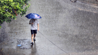 Miền Bắc và Bắc Trung Bộ nhiều nơi mưa to