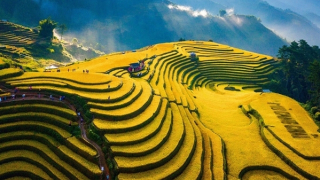 Trao giải và triển lãm ảnh “Tỏa sáng Việt Nam - Amazing Vietnam”