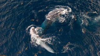 Triển lãm 158 tác phẩm nổi bật của Festival Nhiếp ảnh trẻ năm 2023