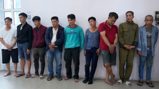 Xóa sổ nhóm đối tượng trộm chó chuyên nghiệp