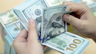 Lừa đảo dưới hình thức đầu tư kinh doanh đa cấp lĩnh vực vận tải tàu biển quốc tế