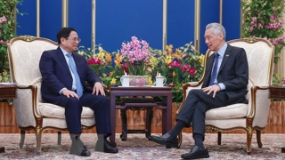 Việt Nam – Singapore: Đối tác tin cậy hướng tới tương lai