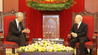 Dấu mốc quan trọng trong sự phát triển của quan hệ Việt Nam-Singapore