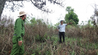 Khởi tố nguyên Trưởng phòng TNMT huyện Bảo Lâm