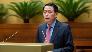 Cấp  thẻ căn cước cho người gốc  Việt chưa có giấy tờ là cần thiết, nhân  văn