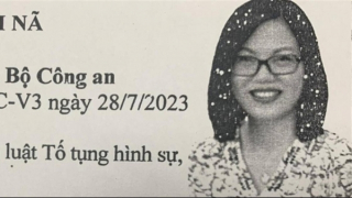 Thư ký tài chính Công ty AIC về nước đầu thú