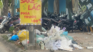 Giải pháp nào để hạn chế vấn nạn rác thải gây ô nhiễm môi trường?