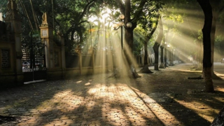 Hà Nội nắng đẹp, Tây Nguyên và Nam Bộ mưa to