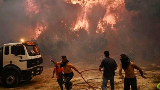 Cơn giận bùng lên khi những “lá phổi” của Hy Lạp bị thiêu đốt