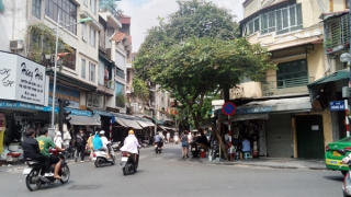 “Chiều mùa thu gió về rộng trên phố phường”