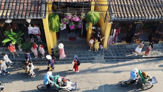 Đề nghị công khai đường dây “nóng” du lịch xử lý nhanh các tình huống phát sinh