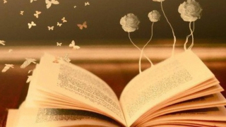 Thế nào là một người đọc chuyên nghiệp?