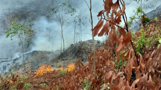 Đốt dọn thực bì gây cháy rừng, người đàn ông bị bỏng tử vong