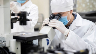 14 nhà khoa học Việt Nam có tên trong Bảng xếp hạng thế giới