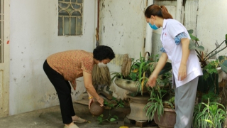 Sốt xuất huyết ở Hà Nội đang diễn biến phức tạp