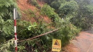 Sạt lở tuyến đường nối Bình Phước-Lâm Đồng