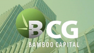Bamboo Capital cảnh báo việc mạo danh doanh nghiệp để lừa đảo