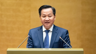 Xử lý nghiêm các hành vi vi phạm trong công tác xây dựng pháp luật