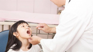 2 ca tử vong vì bạch hầu, Bộ Y tế thành lập 2 đoàn kiểm tra