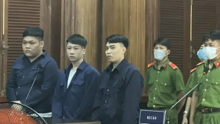 Giấu ma túy trong thú nhồi bông nhưng không thoát