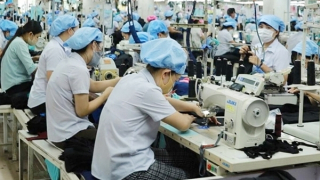 Doanh nghiệp lúng túng về thị trường carbon