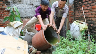 18 ca tử vong do sốt xuất huyết, nhiều người nhập viện khi biến chứng nặng