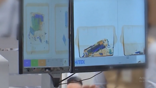 Xác minh vụ tiếp viên nghi vận chuyển tinh dầu cần sa