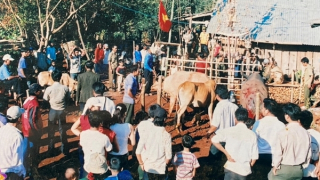 Bài trừ hủ tục lạc hậu trong vùng đồng bào dân tộc thiểu số