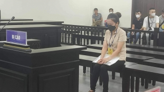 Lừa xin được visa đi Hàn Quốc, nữ giám đốc chiếm đoạt hơn 7,8 tỷ đồng