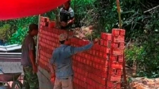 Khẩn trương làm rõ vụ lấn chiếm đất rừng để xây dựng nghĩa trang