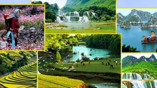 Du lịch Việt Nam tăng lượng tìm kiếm trên Google