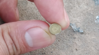 Đang ngồi nhậu thì bị đạn bắn sượt đầu