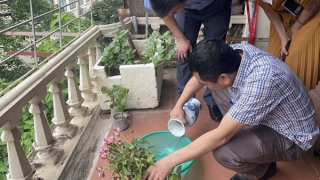 Tự truyền dịch tại nhà, cô gái trẻ mắc sốt xuất huyết tử vong